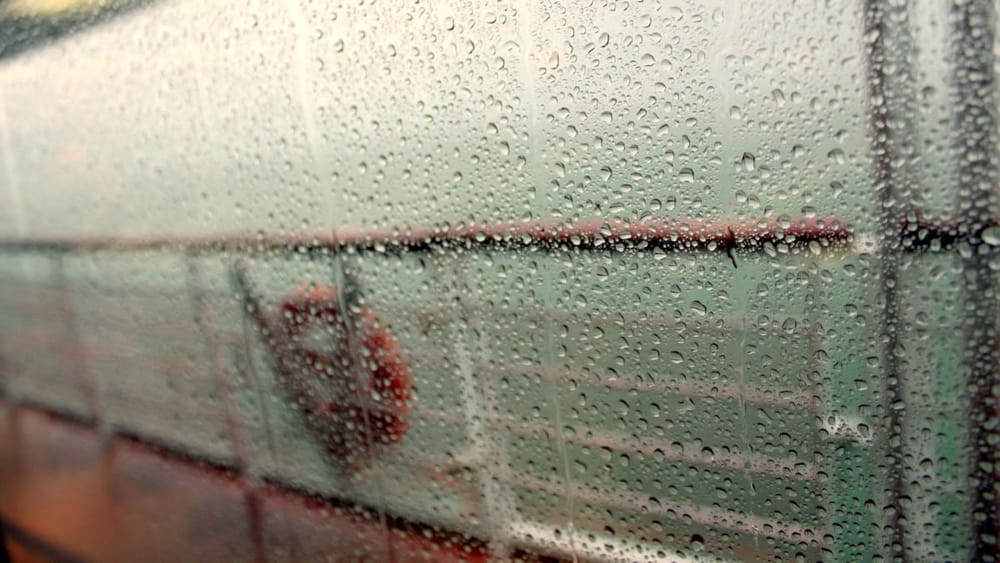 Carnival verlaagt winstprognose met $500 miljoen: het eerste grote bedrijf dat de Hormuz-rekening voorlegt Afbeelding bij bericht